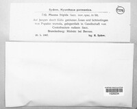 Image Associated With the Occurence